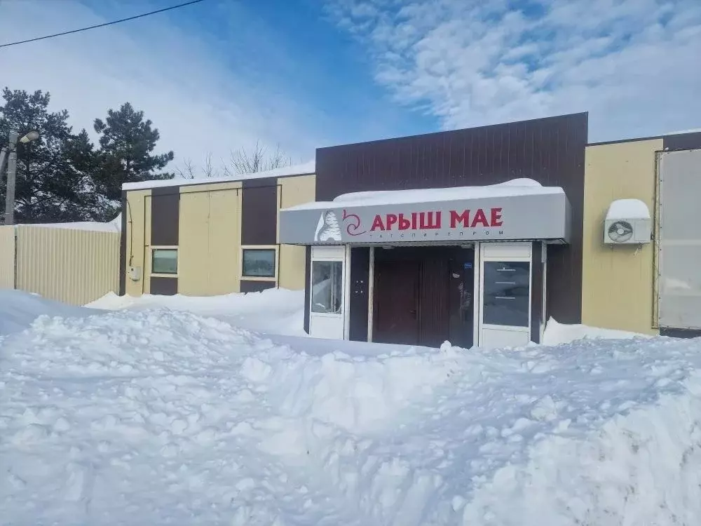 Помещение свободного назначения в Татарстан, Арск ул. Абдуллина, 3 (68 ... - Фото 0