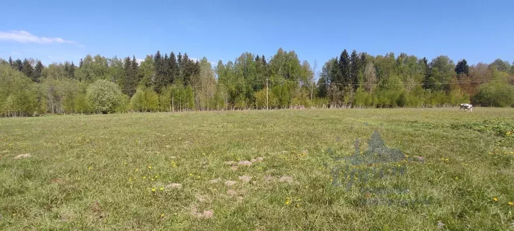 Участок в Нижегородская область, Чкаловск городской округ, с. ... - Фото 0