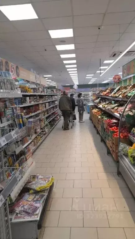 Помещение свободного назначения в Москва Первомайская ул., 110с1 (923 ... - Фото 2