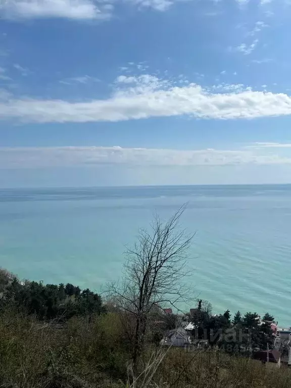 Участок в Краснодарский край, Сочи Ландыш садовое товарищество, 34 ... - Фото 1
