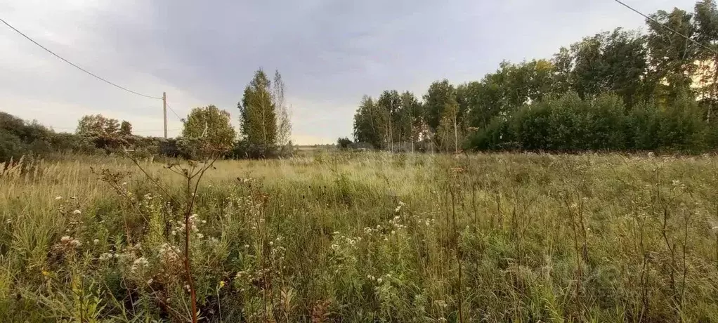 Участок в Новосибирская область, Коченевский район, Эко-городок ... - Фото 0