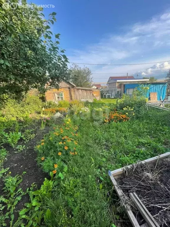 Участок в Республика Башкортостан, городской округ Нефтекамск, деревня ... - Фото 2