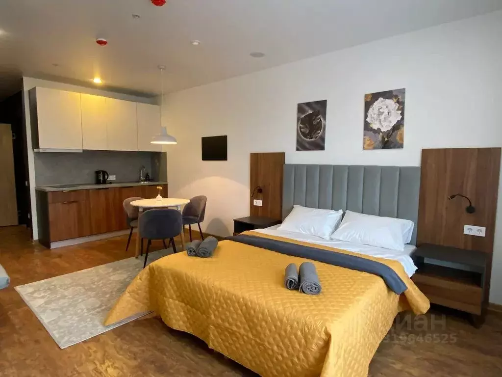 Студия Санкт-Петербург 2-й Муринский просп., 36 (30.0 м) - Фото 0