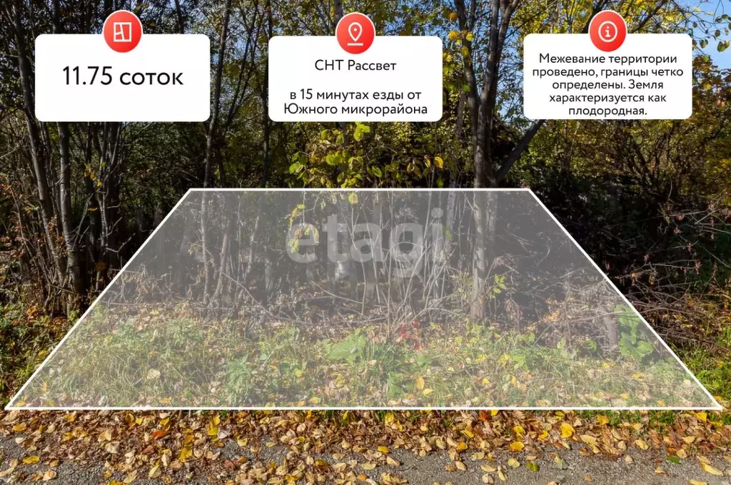 Участок в Хабаровский край, Хабаровский район, Рассвет СНТ 54 (11.75 ... - Фото 2