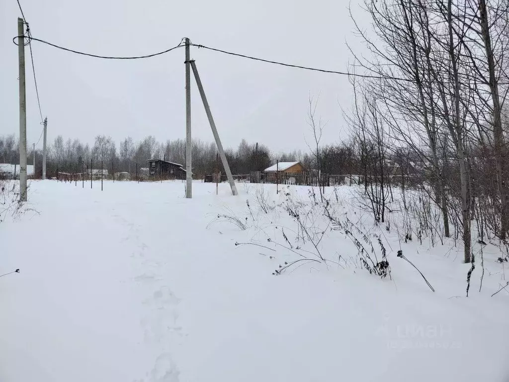 Участок в Костромская область, Костромской район, Минское с/пос, ... - Фото 0