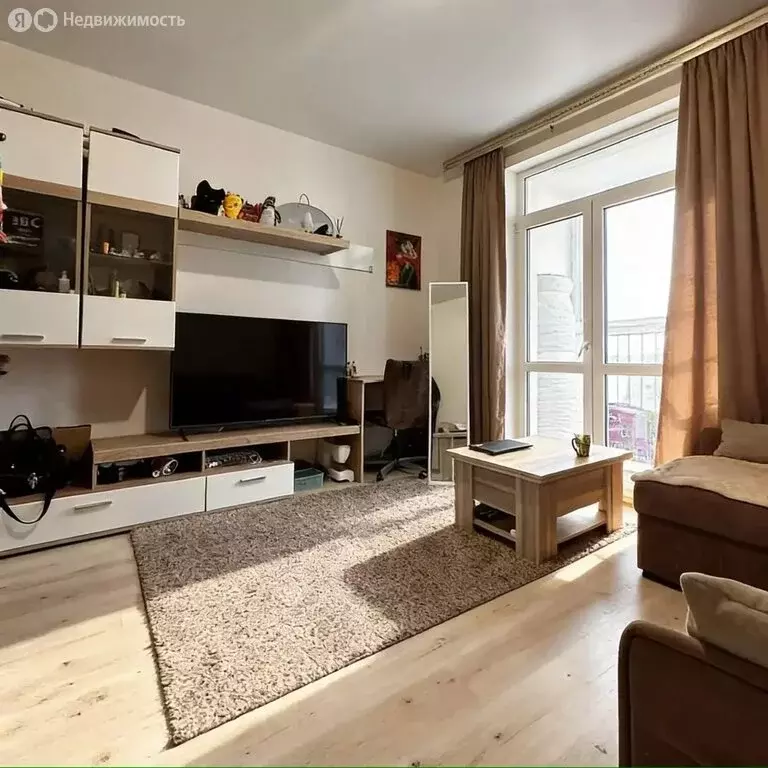 Квартира-студия: деревня Анкудиновка, Русская улица, 17 (24.9 м) - Фото 2