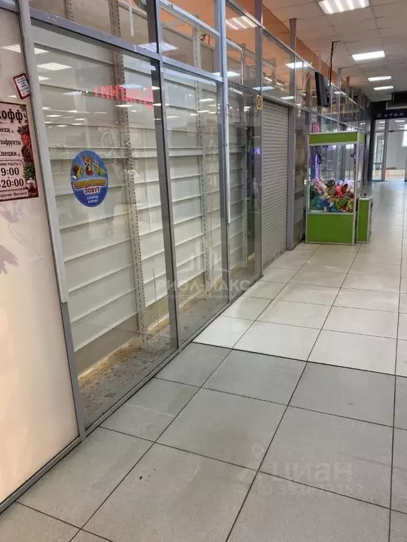 Помещение свободного назначения в Брянская область, Брянск ул. ... - Фото 2