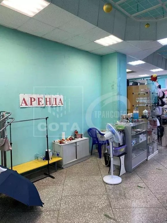 Торговая площадь в Воронежская область, Воронеж ул. Владимира ... - Фото 1