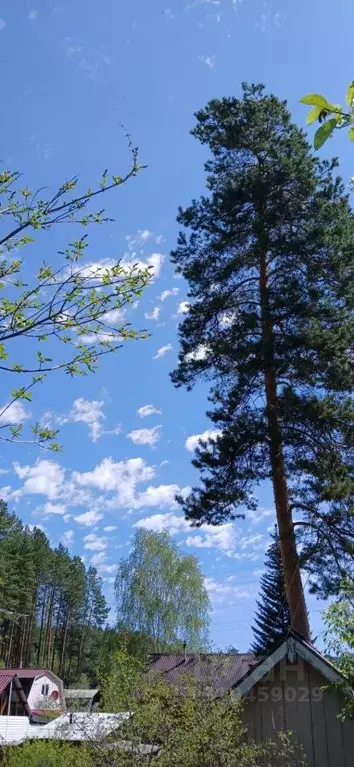 Дом в Иркутская область, Шелеховский район, Олхинское муниципальное ... - Фото 2
