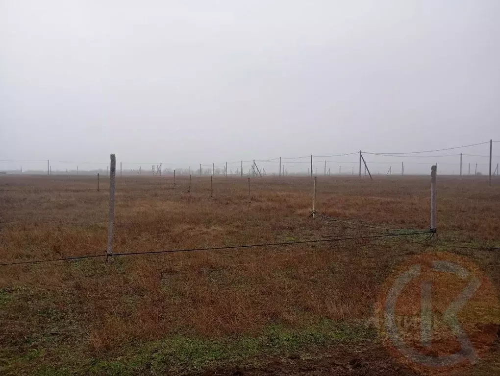 Участок в Крым, Черноморский район, с. Окуневка  (6.0 сот.) - Фото 2