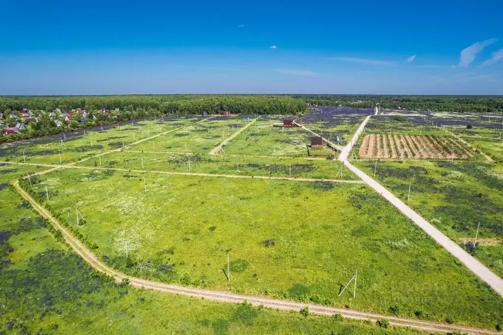 Участок в Владимирская область, Петушинское муниципальное образование, ... - Фото 1