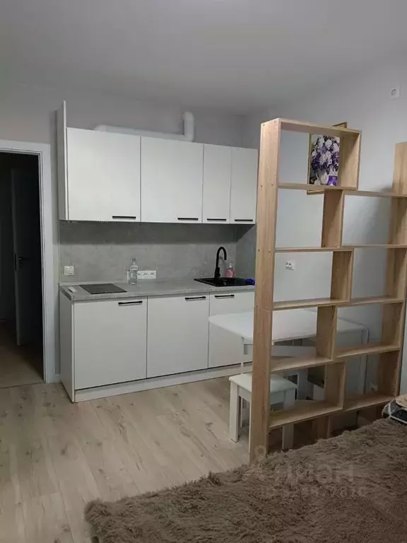 Студия Московская область, Балашиха ул. Яганова, 1 (23.3 м) - Фото 1