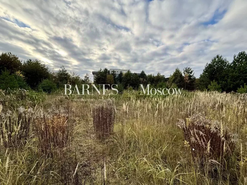 Участок в Московская область, Истра муниципальный округ, д. Чесноково, ... - Фото 2