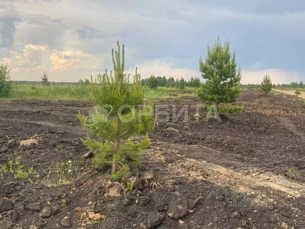 Участок в Тюменская область, Тюменский район, д. Елань, Австралия кп  ... - Фото 0