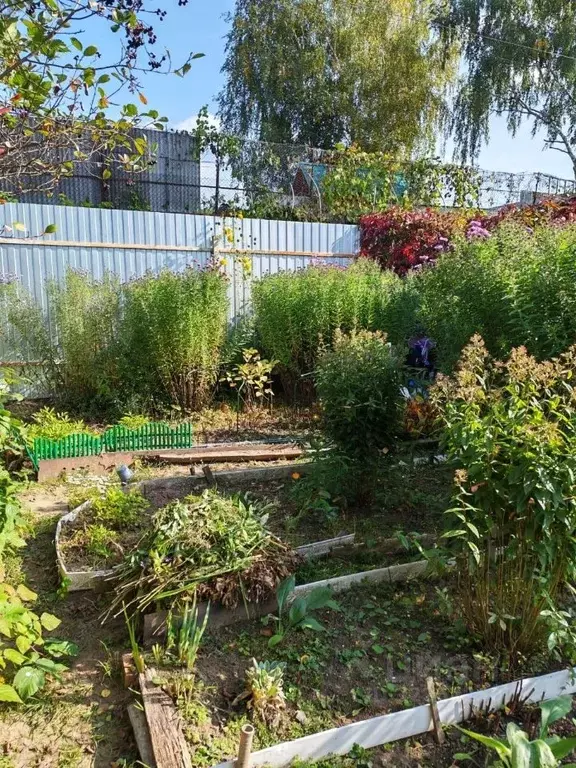 Участок в Московская область, Ивантеевка Пушкинский городской округ, ... - Фото 2