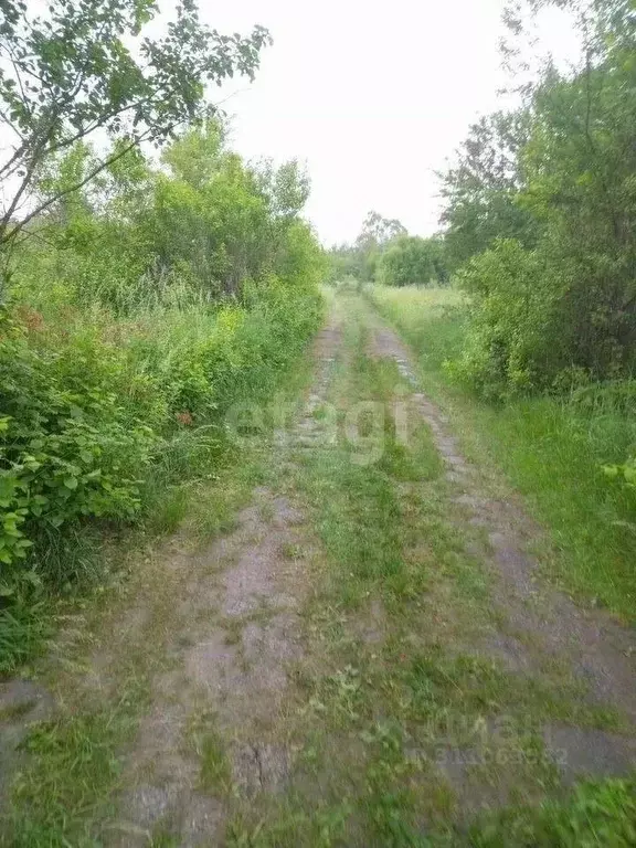 Участок в Калининградская область, Светловский городской округ, пос. ... - Фото 0