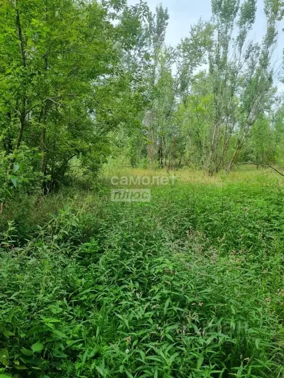 Участок в Воронежская область, Воронеж ул. Дарвина (8.0 сот.) - Фото 0