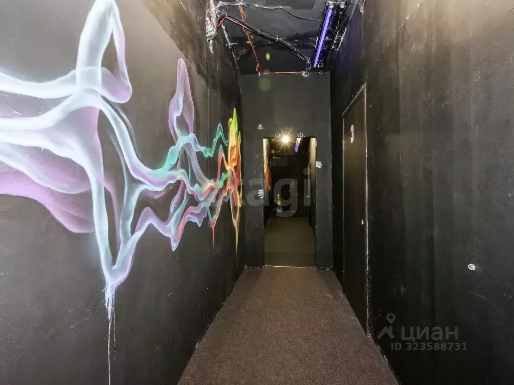 Помещение свободного назначения в Новосибирская область, Новосибирск ... - Фото 1