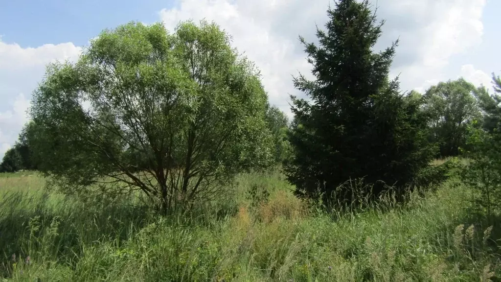 Участок в Московская область, Рузский муниципальный округ, д. ... - Фото 1