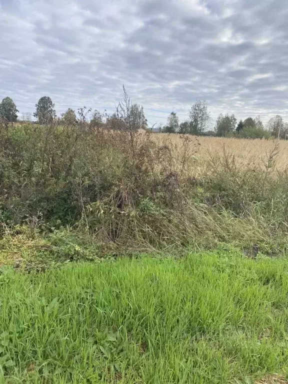 Участок в Московская область, Лотошино муниципальный округ, пос. ... - Фото 1