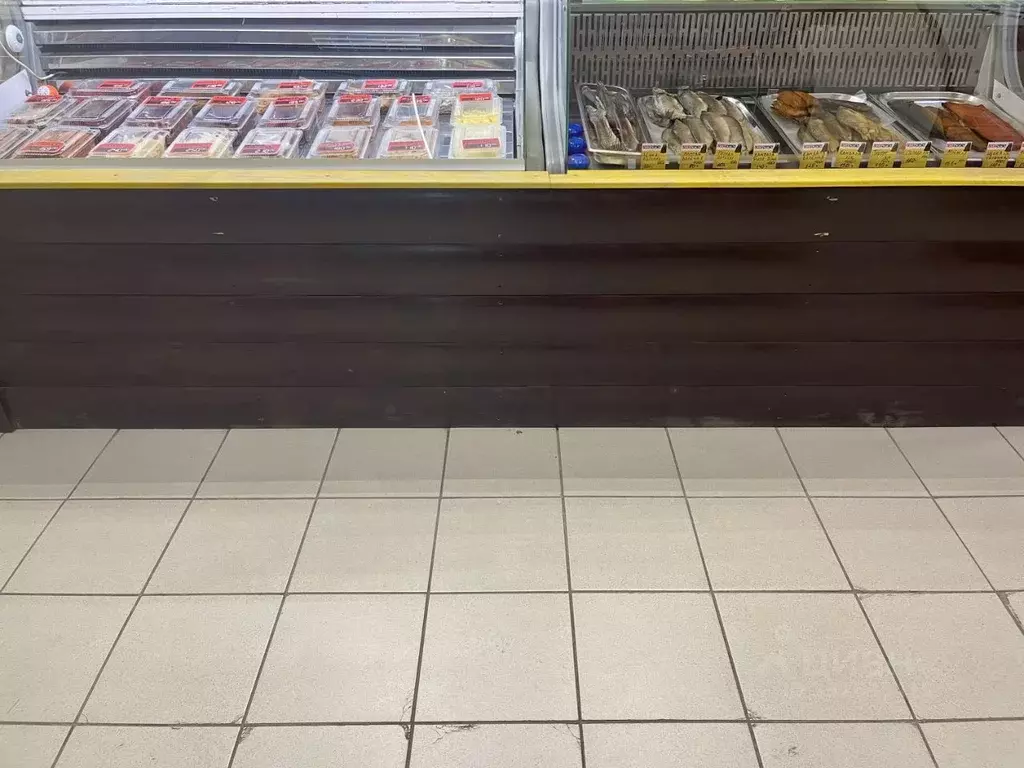 Помещение свободного назначения в Томская область, Томск Солнечный ... - Фото 2