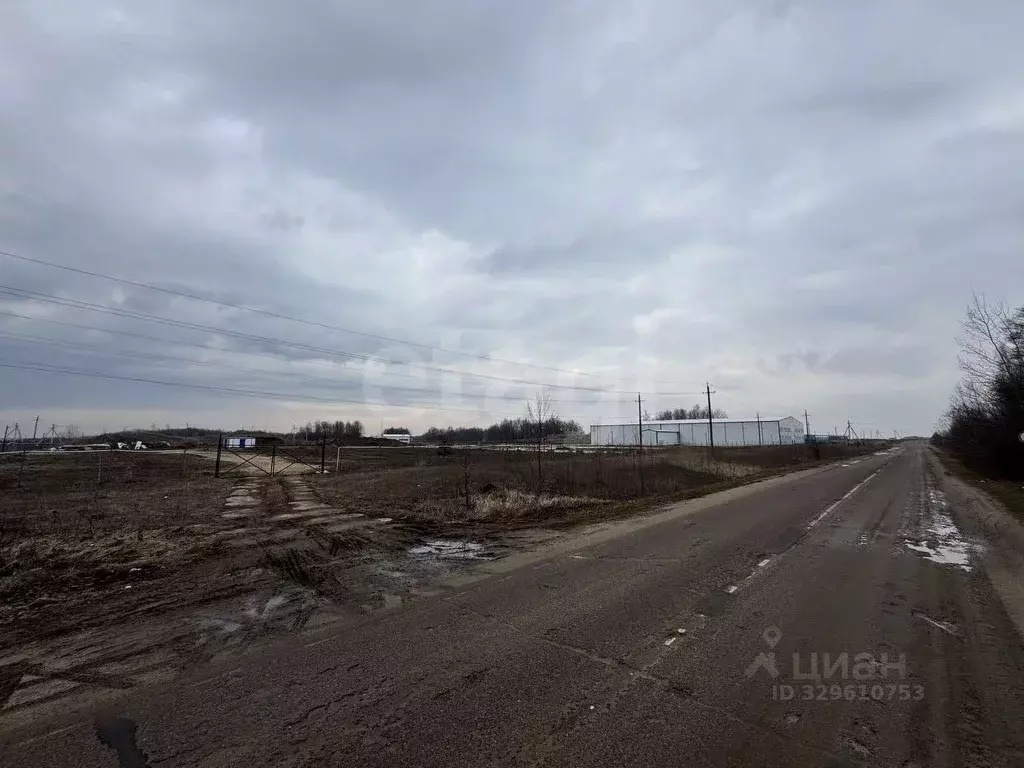 Помещение свободного назначения в Московская область, Серебряные Пруды ... - Фото 2