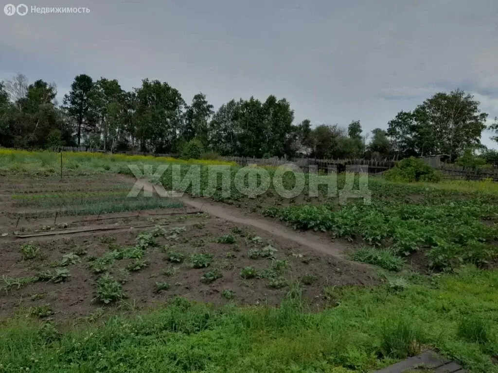 Дом в Бай-Хаак, улица Дружбы (80 м) - Фото 1