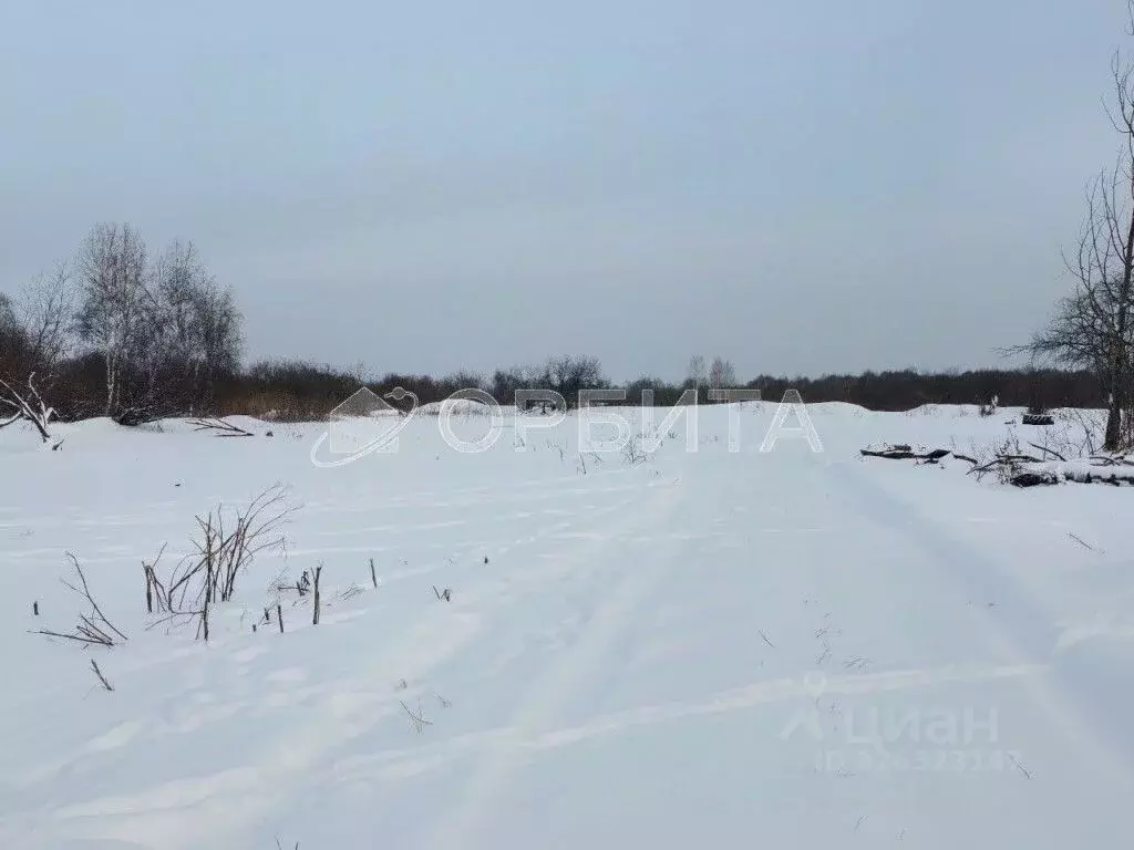 Участок в Тюменская область, Тюмень Рябинка-2 садовое товарищество, ... - Фото 1