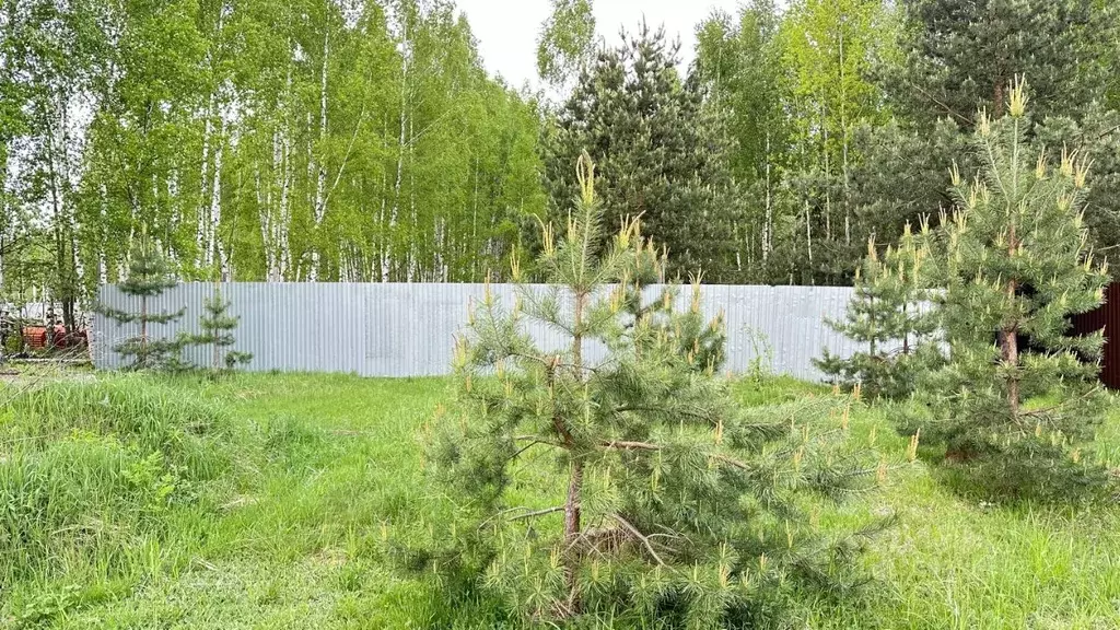 Участок в Московская область, Ногинск Богородский городской округ, ул. ... - Фото 1