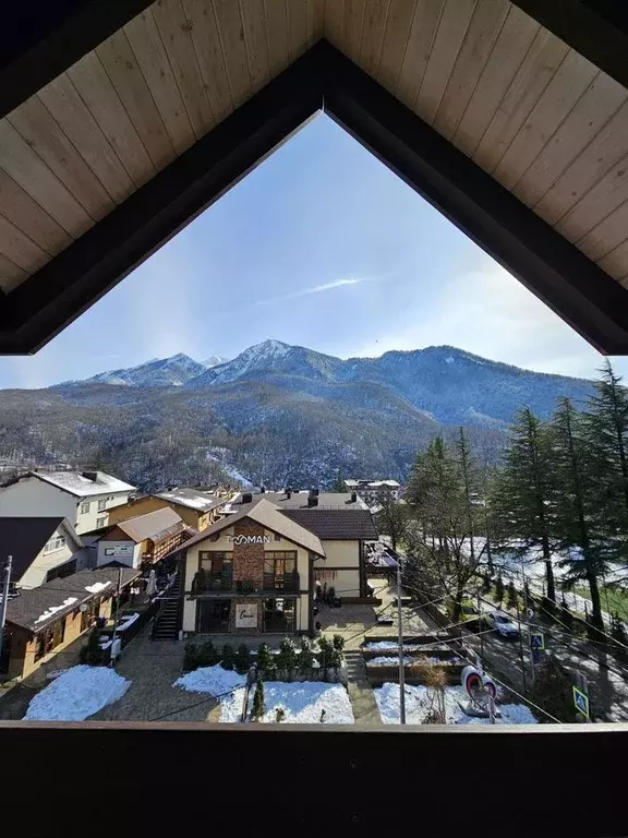 1-к кв. Краснодарский край, Сочи Красная Поляна пгт, ул. Трудовой ... - Фото 1