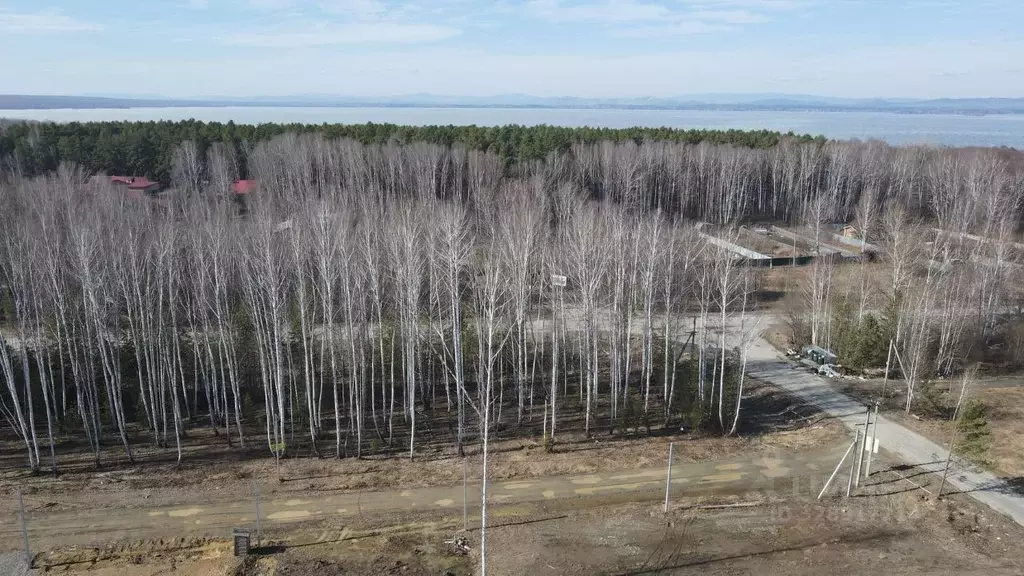 Участок в Челябинская область, Аргаяшский муниципальный округ, ... - Фото 2