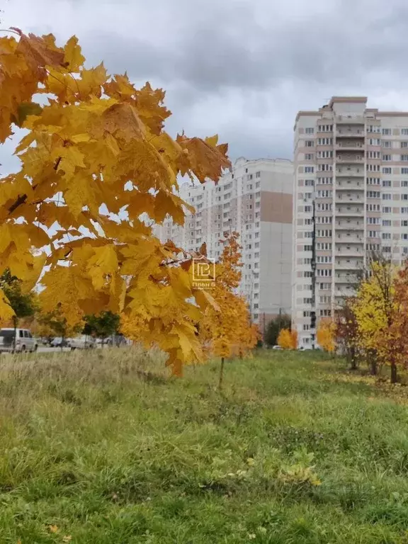 1-к кв. Калужская область, Калуга ул. Серафима Туликова, 4 (45.25 м) - Фото 2