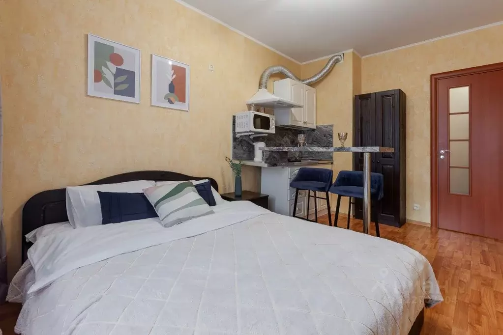 Студия Самарская область, Самара просека 5-я, 99 (21.0 м) - Фото 1