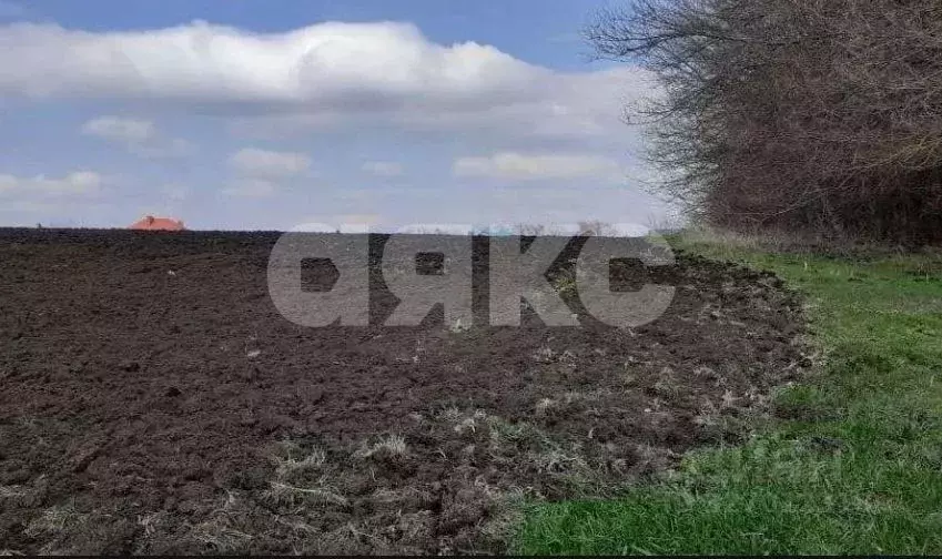 Участок в Краснодарский край, Кореновский район, Раздольная ст-ца ... - Фото 1