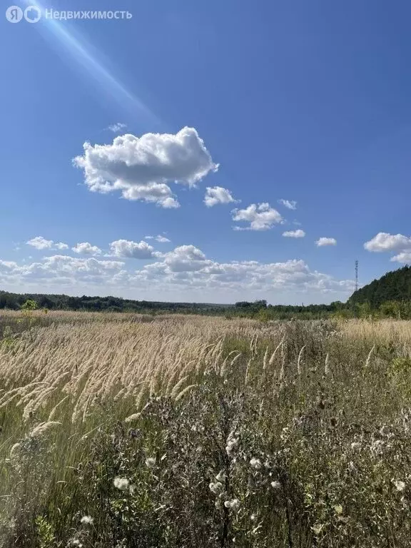 участок в нижегородская область, богородский муниципальный округ, . - Фото 0