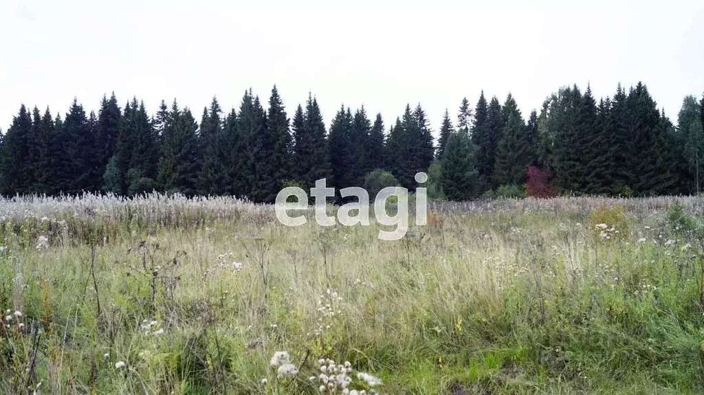 Участок в Свердловская область, Тугулымский муниципальный округ, с. ... - Фото 1