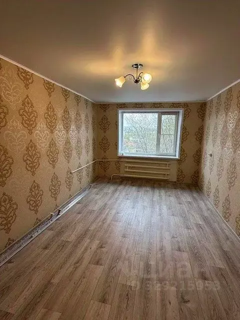 Комната Белгородская область, Алексеевка Республиканская ул. (18.0 м) - Фото 2