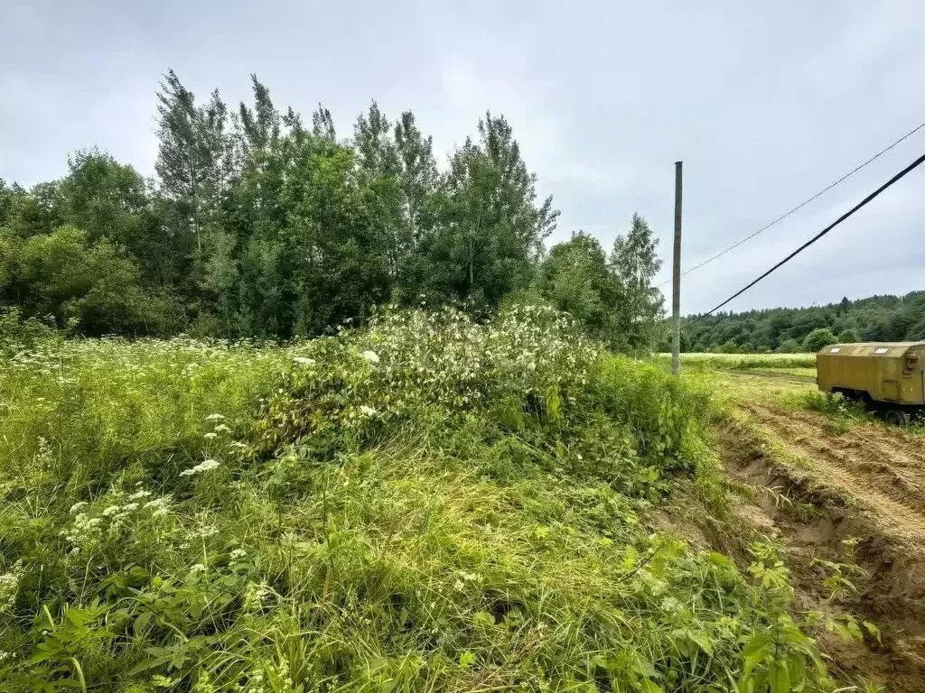Участок в Ленинградская область, Волховский район, Колчановское с/пос, ... - Фото 1