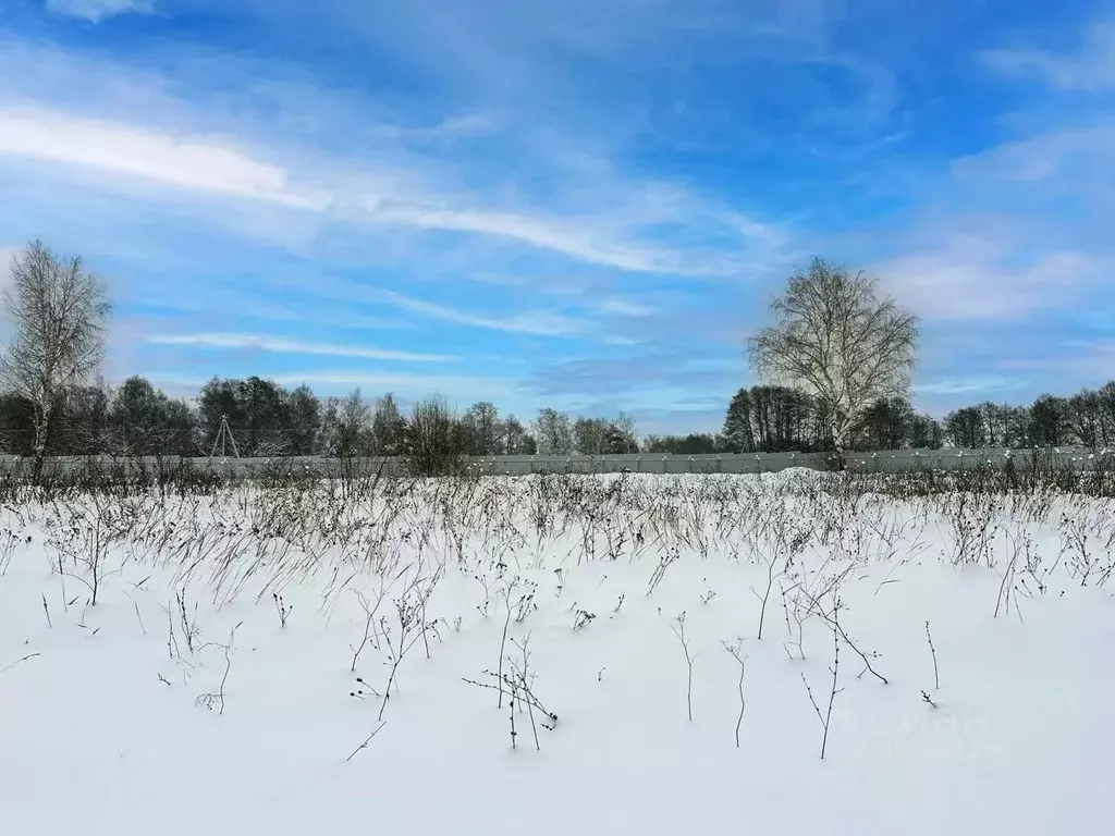 Участок в Московская область, Раменский муниципальный округ, с. ... - Фото 2