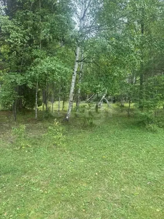 Участок в Бурятия, Кабанский район, с. Сухая  (13.57 сот.) - Фото 2