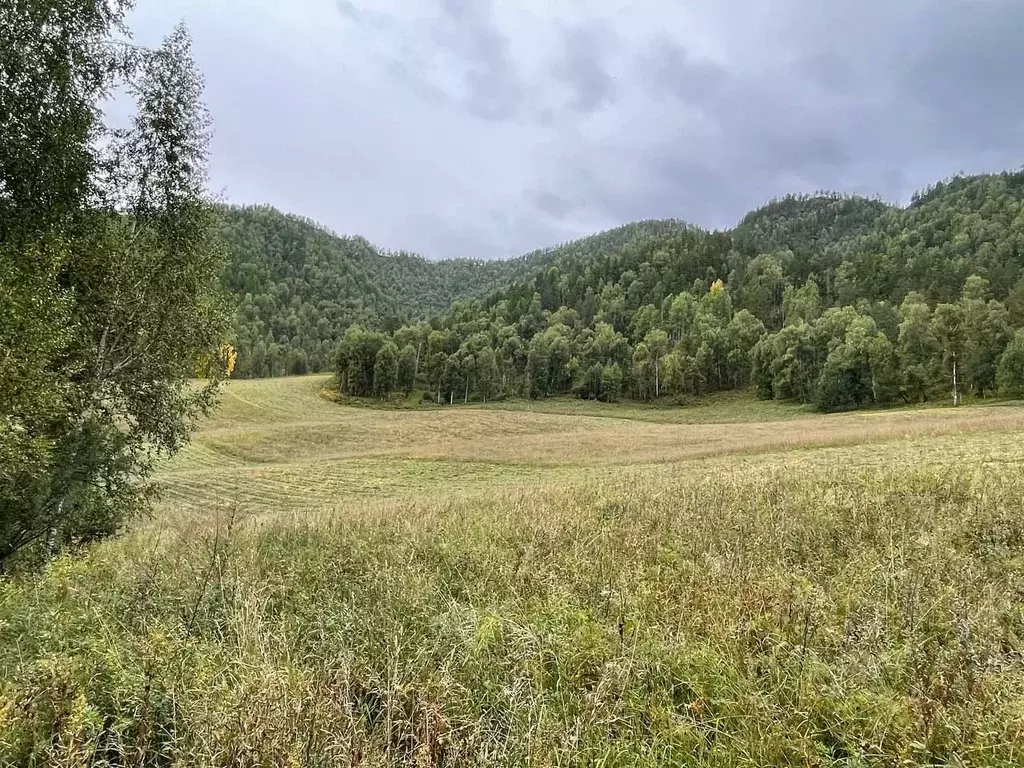 Участок в Алтай, Чемальский район, Чемальское с/пос  (14.67 сот.) - Фото 2