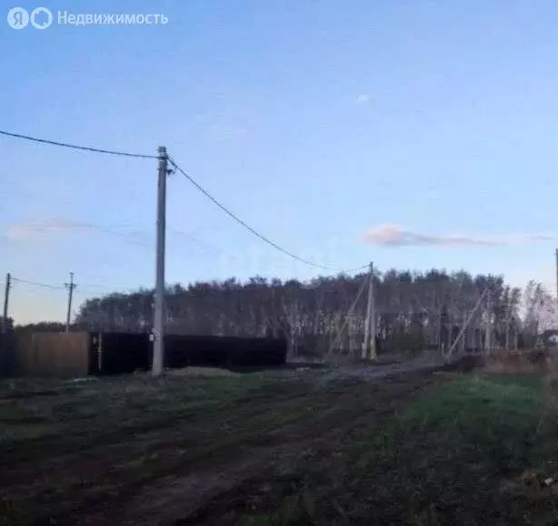 Участок в Омск, садоводческое некоммерческое товарищество Крона (6 м) - Фото 2