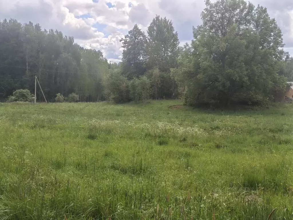 Участок в Ленинградская область, Приозерский район, Мельниковское ... - Фото 1