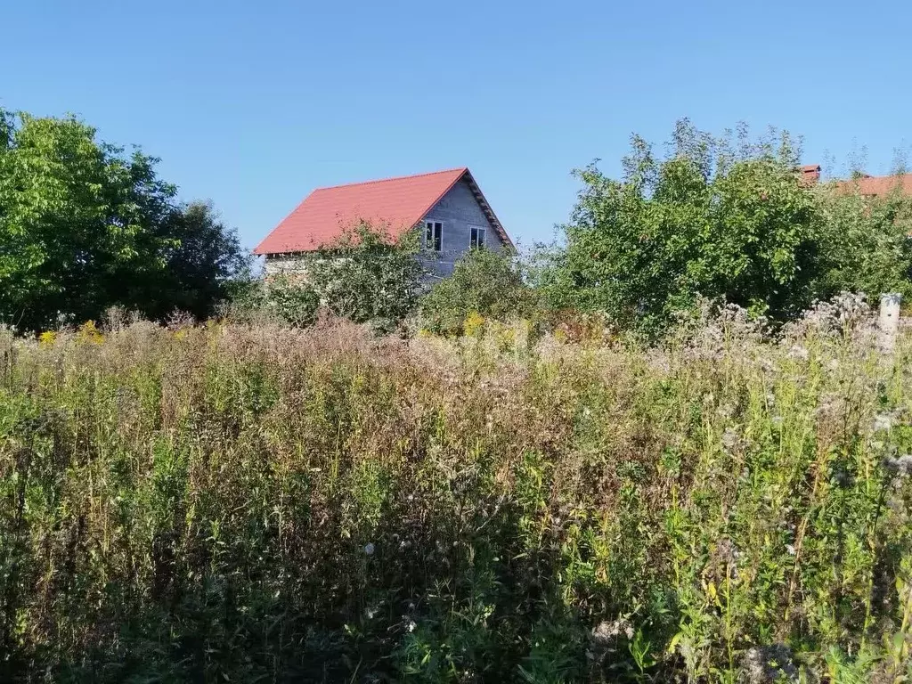 Участок в Тульская область, Тула городской округ, пос. Петровский ... - Фото 1