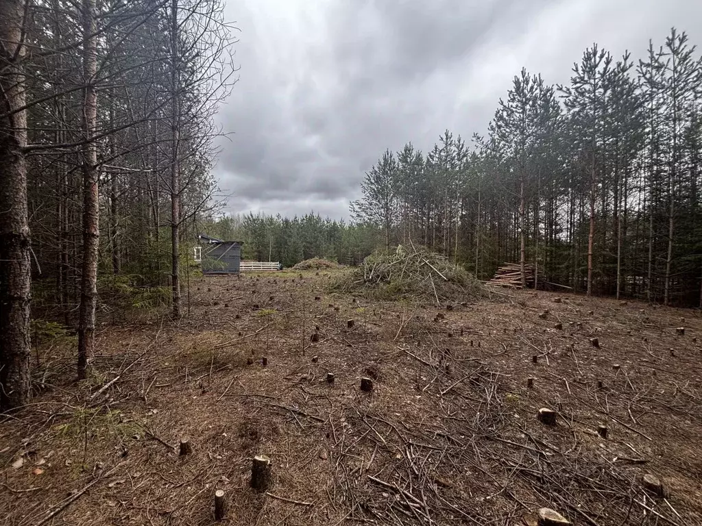 Участок в Кировская область, Слободской район, Шиховское с/пос, д. ... - Фото 2