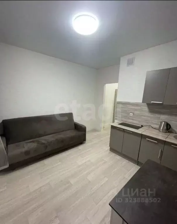 Студия Тюменская область, Тюменский муниципальный округ, д. Дударева ... - Фото 1