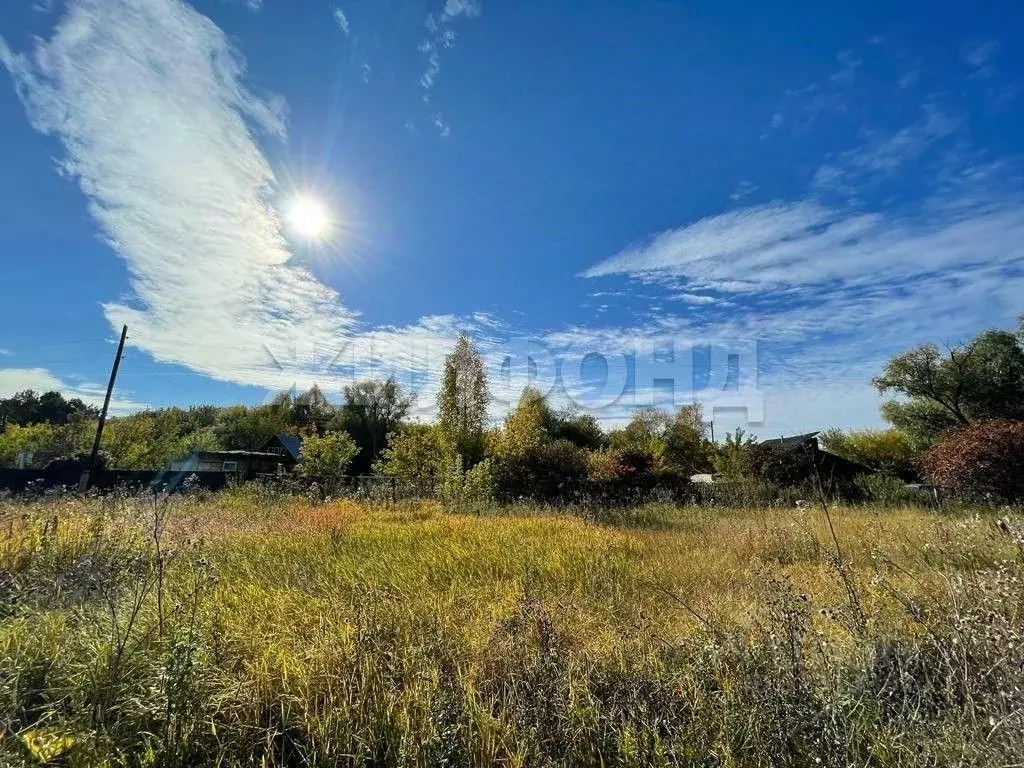 Участок в Новосибирская область, Колыванский район, д. Пристань-Почта ... - Фото 2