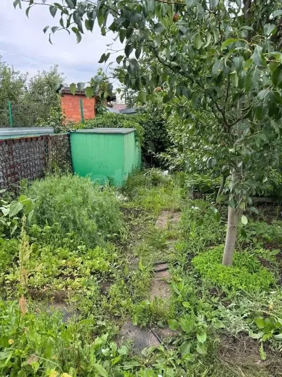 Дом в Саратовская область, Энгельсский район, Красноярское ... - Фото 1