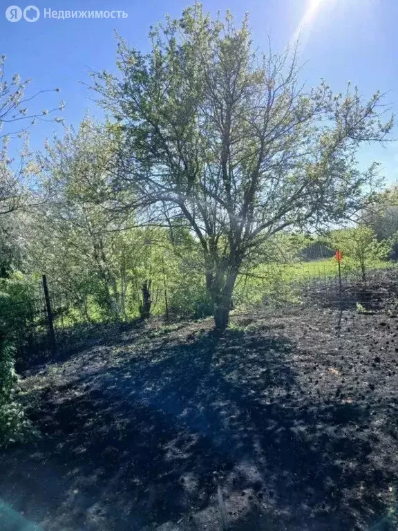 Дом в Чесноковский сельсовет, СНТ Рассвет, Оливковая улица (20 м) - Фото 2