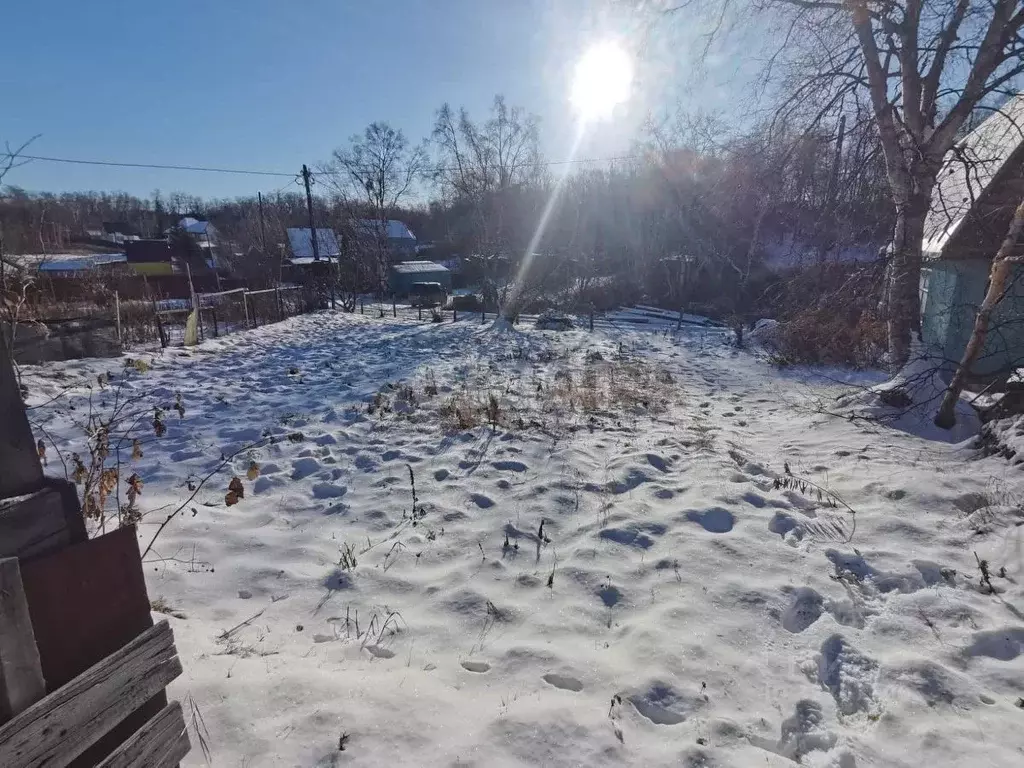 Участок в Камчатский край, Елизовский муниципальный округ, Луч СНТ  ... - Фото 1